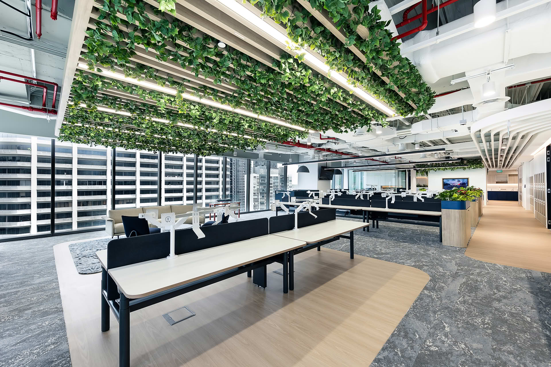 Petredec office interior design